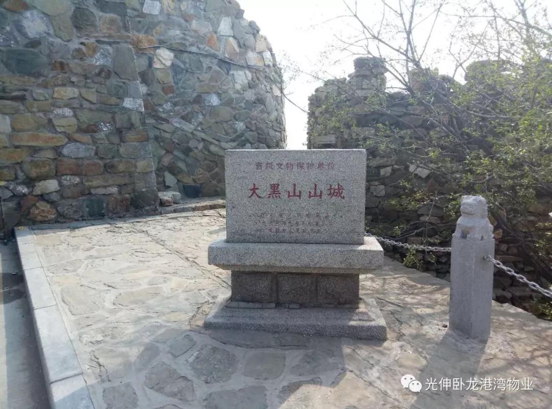 Z6尊龙「中国区」官方网站